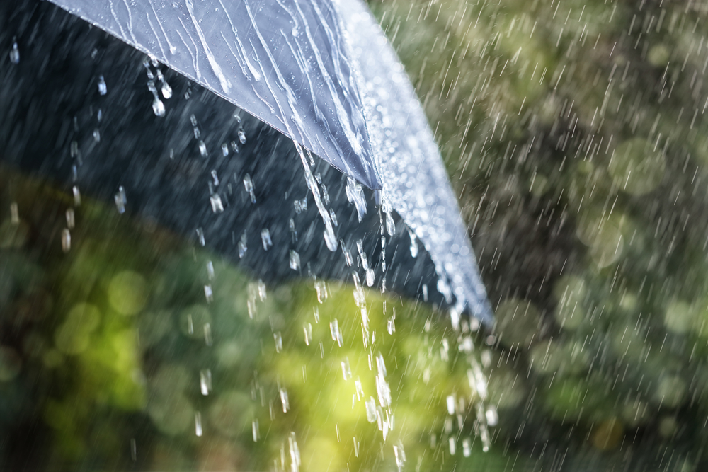 Should You Purchase Umbrella Insurance?