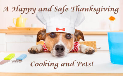 A Happy and Safe Thanksgiving: Cooking and Pets